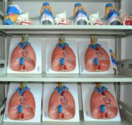 医护实训设备 医护实训设备