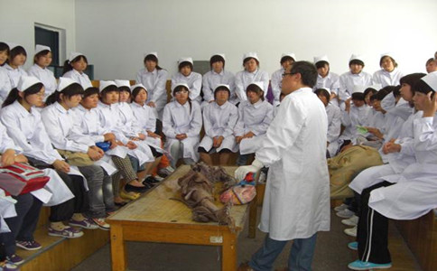 成都卫校专业图